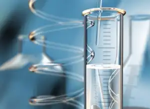 打造未来海事领袖——国际化教育新范式