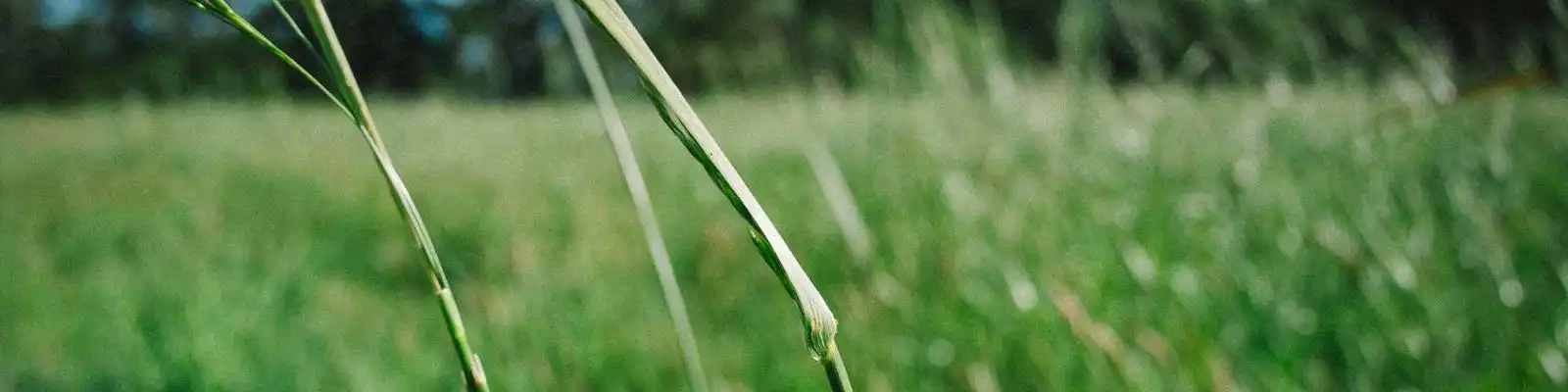 人形机器人首进课堂：教育新纪元开启