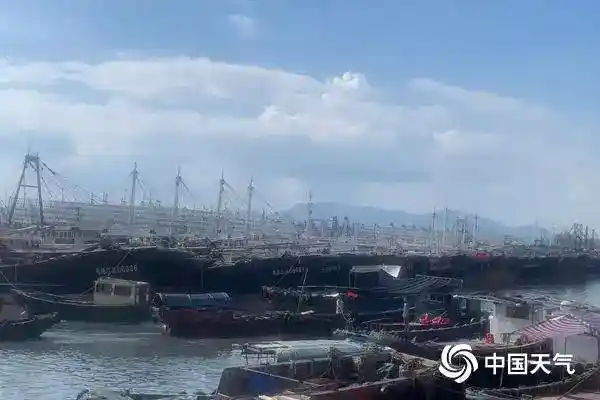 台风麦德姆强势登陆!广东徐闻迎14级狂风震撼来袭