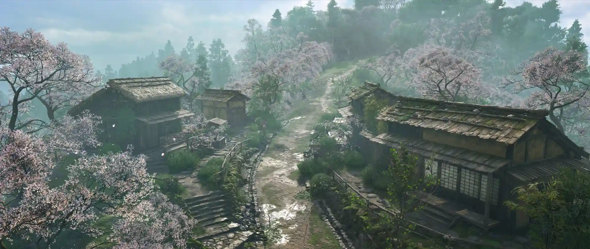 《刺客信条：影》PC版优化大揭秘：低配也能畅玩？